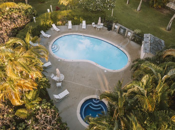 An aerial view of a swimming pool and a smaller hot tub surrounded by lounge chairs, greenery, and palm trees within a lush garden setting.
