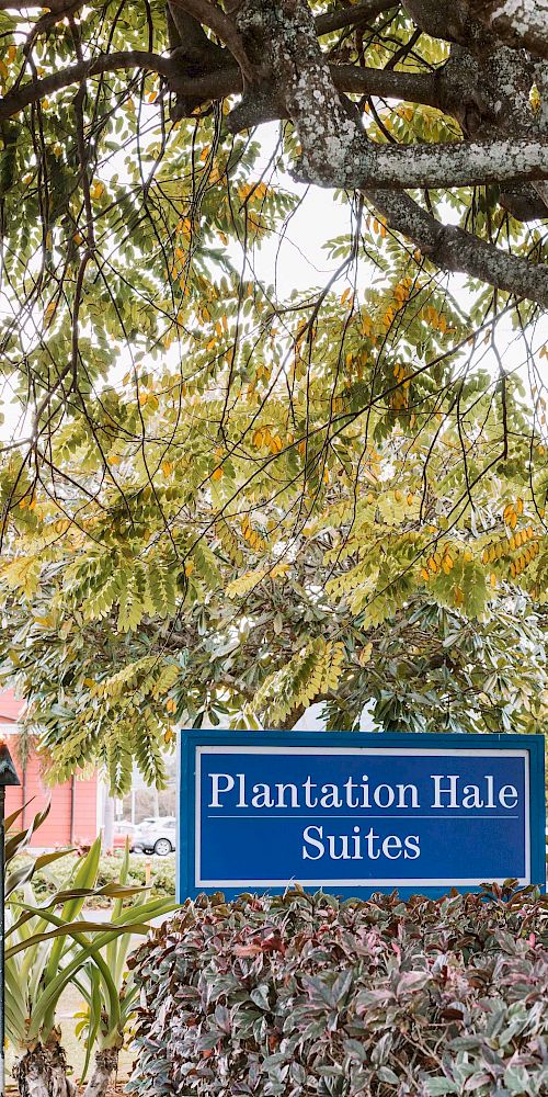 The image shows a blue sign that reads "Plantation Hale Suites," set against a background of trees and some buildings.