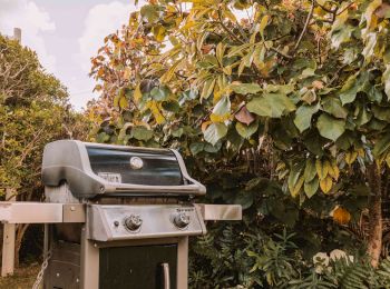 A gas grill is set up outdoors on a paved area surrounded by lush greenery and trees, ready for a barbecue.